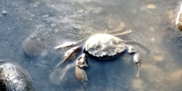 539521021_24575311888759279_9107615721041633554_n