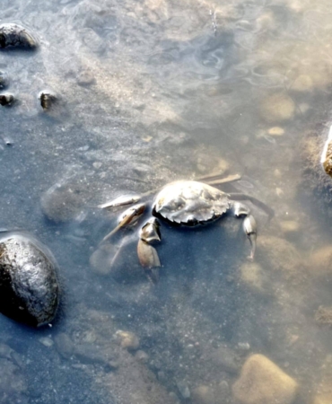 539521021_24575311888759279_9107615721041633554_n