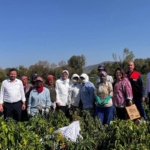 540162531_1182039437276096_4856442504159678032_n