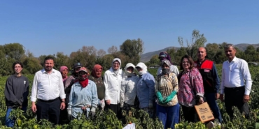 540162531_1182039437276096_4856442504159678032_n