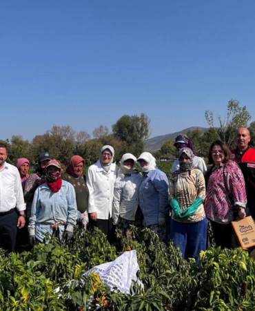 540162531_1182039437276096_4856442504159678032_n