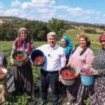 64de8a59-d026-48ef-9df9-8e79b372a033