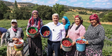 64de8a59-d026-48ef-9df9-8e79b372a033