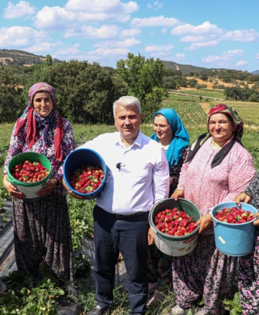 64de8a59-d026-48ef-9df9-8e79b372a033