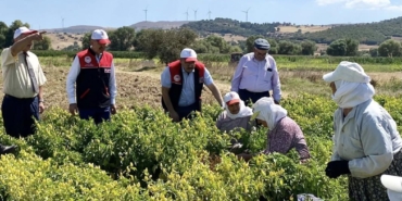 540938512_1180646150772912_3846643718124170656_n