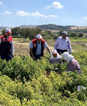 540938512_1180646150772912_3846643718124170656_n