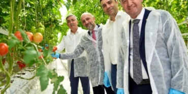 547124172_1208339397999510_6910582804003958214_n