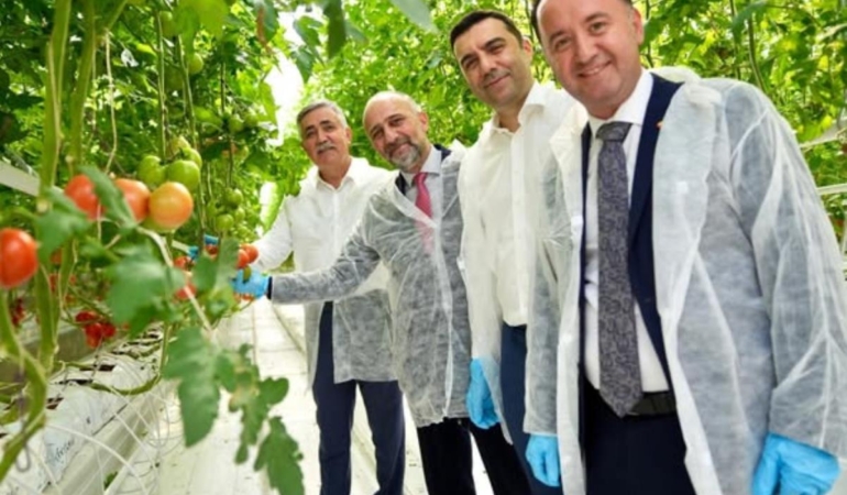 BAŞKAN KULA HASAT HEYECANINA ORTAK OLDU