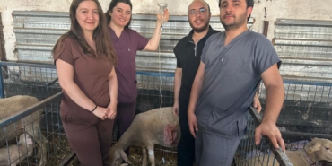 547361084_1218730826950773_3365573967063631180_n