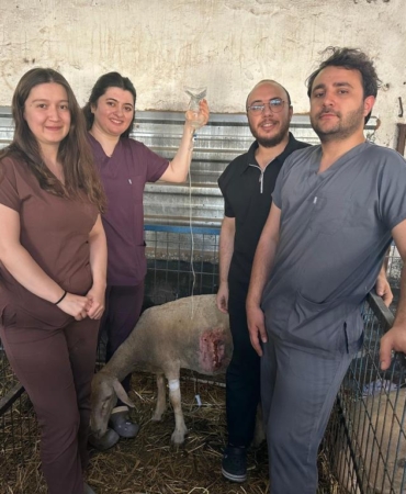 547361084_1218730826950773_3365573967063631180_n