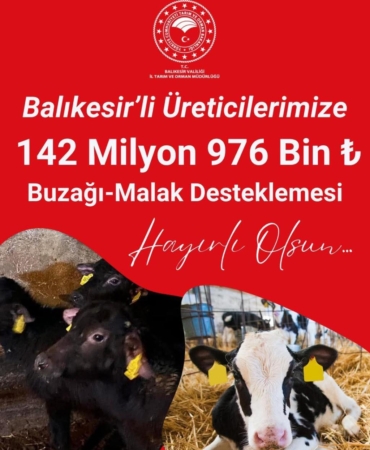 548608559_10176090895420354_6515574984320796434_n