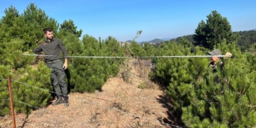 555687172_1251748300326839_7698490415142874159_n