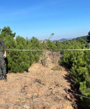 555687172_1251748300326839_7698490415142874159_n