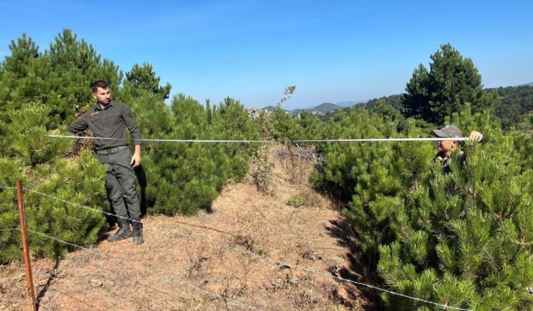 ORMAN BÖLGEDEN YENİ ALANLARDA ÇALIŞMA