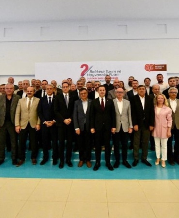 8e803953-7a97-4737-8ab1-79ca5f899e46