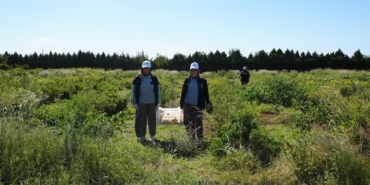 d3184c80-07e7-427a-b6e0-db59de301b5f