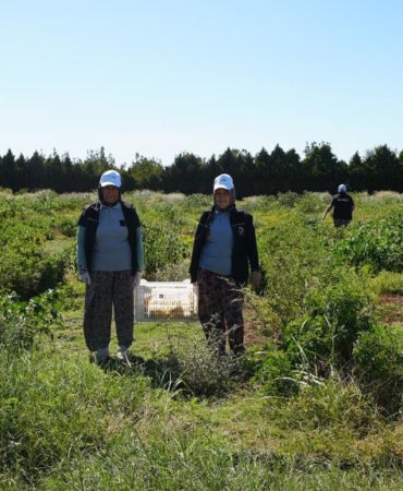 d3184c80-07e7-427a-b6e0-db59de301b5f