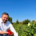 ++ 3 AK PARTİ_3_16x9