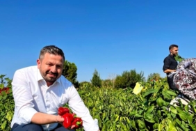 ++ 3 AK PARTİ_3_16x9