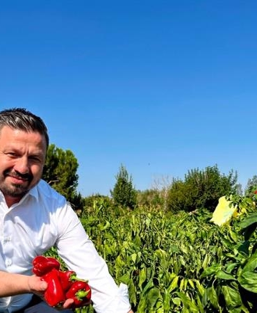 ++ 3 AK PARTİ_3_16x9