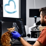 ++ 4 BBB BARINAK_7_16x9