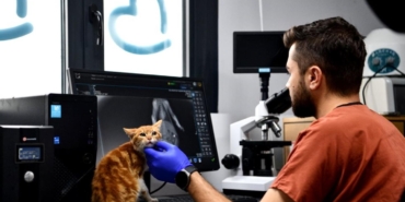 ++ 4 BBB BARINAK_7_16x9