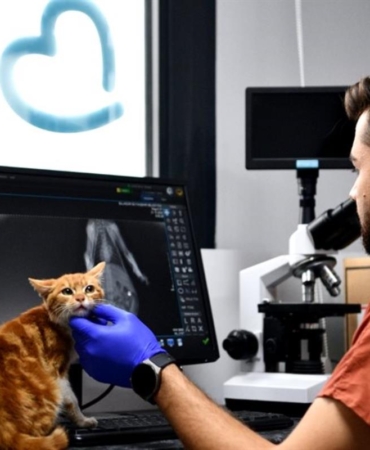 ++ 4 BBB BARINAK_7_16x9