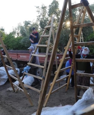 556223990_24723197987344217_4775838876445732450_n_16x9_cropped