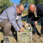 556543295_809988591392168_8574218374413359421_n_16x9_cropped