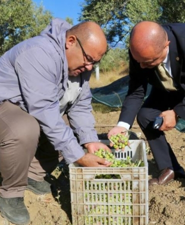 556543295_809988591392168_8574218374413359421_n_16x9_cropped