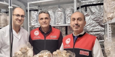 557089680_1204663358371191_2870957851663799070_n_16x9_cropped