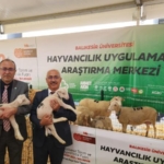 557540962_1234881262002396_4347035367139430956_n_16x9_cropped