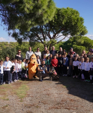 558065786_10163833047095606_8912652895234385798_n