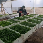 569388675_1141586161507713_7652568568256667765_n_16x9