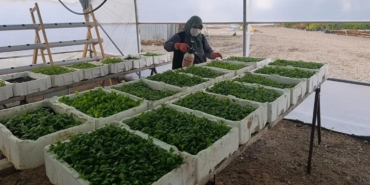 569388675_1141586161507713_7652568568256667765_n_16x9