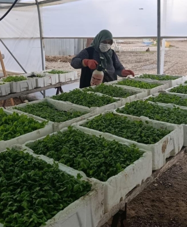 569388675_1141586161507713_7652568568256667765_n_16x9