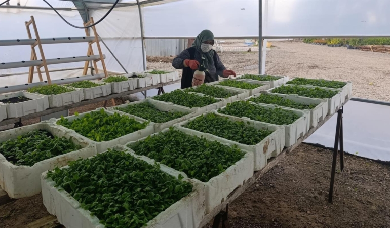 569388675_1141586161507713_7652568568256667765_n_16x9