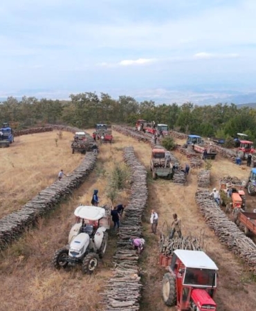 ++ 7 ORMAN KÖYLÜSÜNE YAKACAK YARDIM_14_16x9