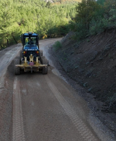 015d31cf-328d-40ca-a5e8-e9c618f4457a