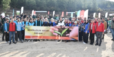 ++ 2 AĞAÇLANDIRMA_4_16x9