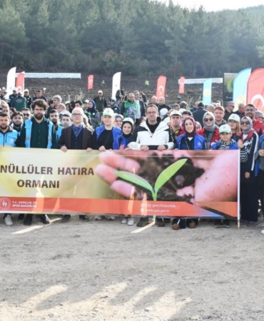 ++ 2 AĞAÇLANDIRMA_4_16x9