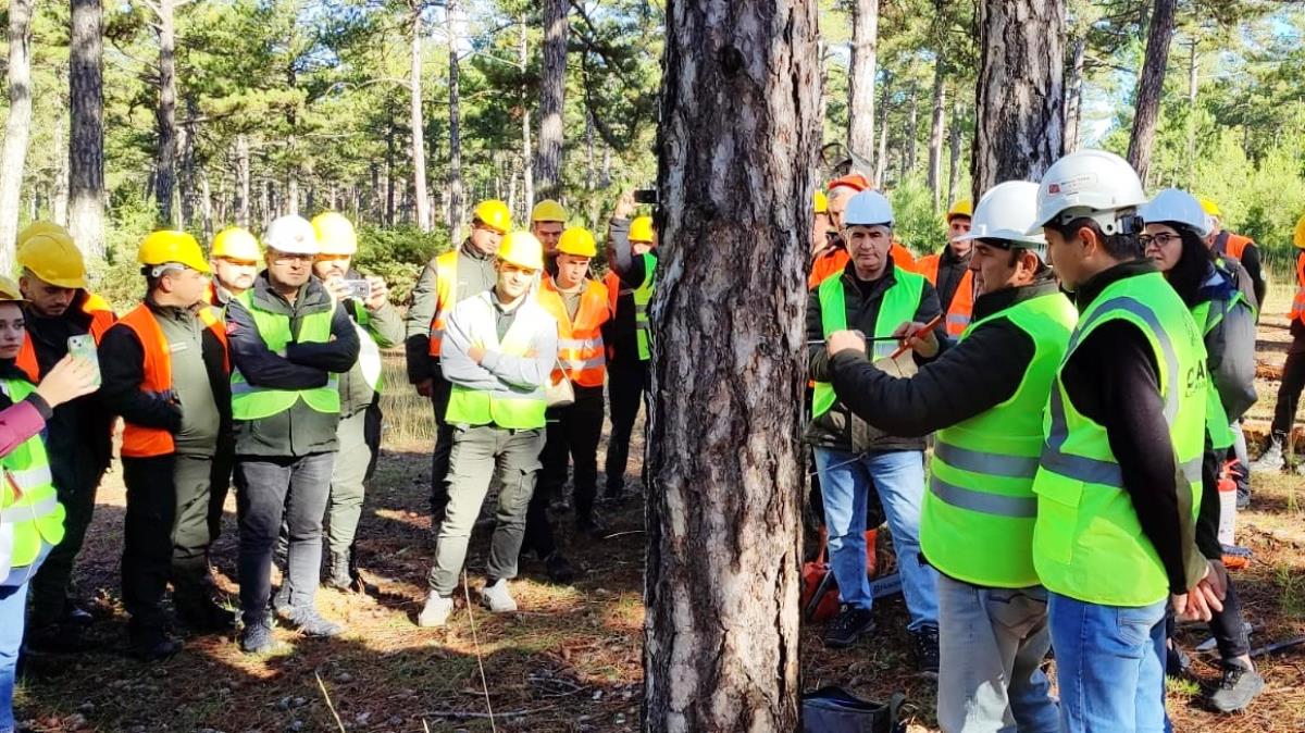 ++ 4 BAÜN Dursunbey MYO Ormancılık Bölümü Öğrencileri Orman-16x9_052