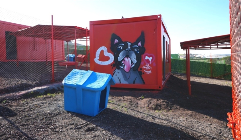TÜRKİYE’DE İLK DEFA ÖZEL GEREKSİNİMLİ CAN DOSTLARA SICAK YUVA BALIKESİR’DE