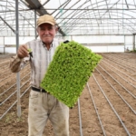 BÜYÜKŞEHİR DESTEĞİYLE TOPRAKLAR BEREKETLENDİ