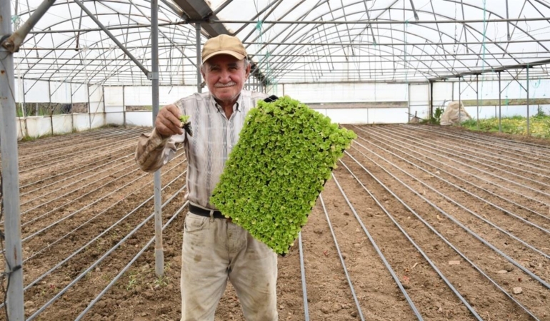 BÜYÜKŞEHİR DESTEĞİYLE TOPRAKLAR BEREKETLENDİ