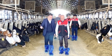 SAĞLIKLI SÜRÜLER İÇİN RAPEL AŞILAMA ÇALIŞMALARI HIZ KAZANDI (4)