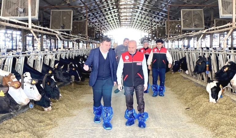 SAĞLIKLI SÜRÜLER İÇİN RAPEL AŞILAMA ÇALIŞMALARI HIZ KAZANDI (4)