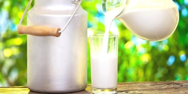 SÜT ÜRETİMİ AZALDI