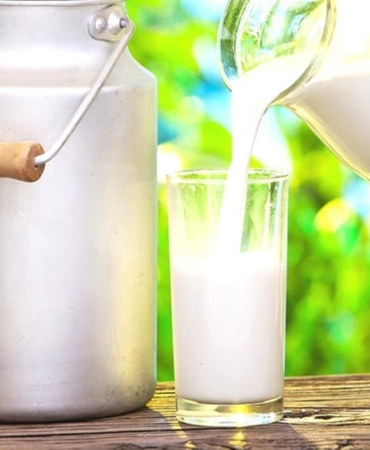 SÜT ÜRETİMİ AZALDI