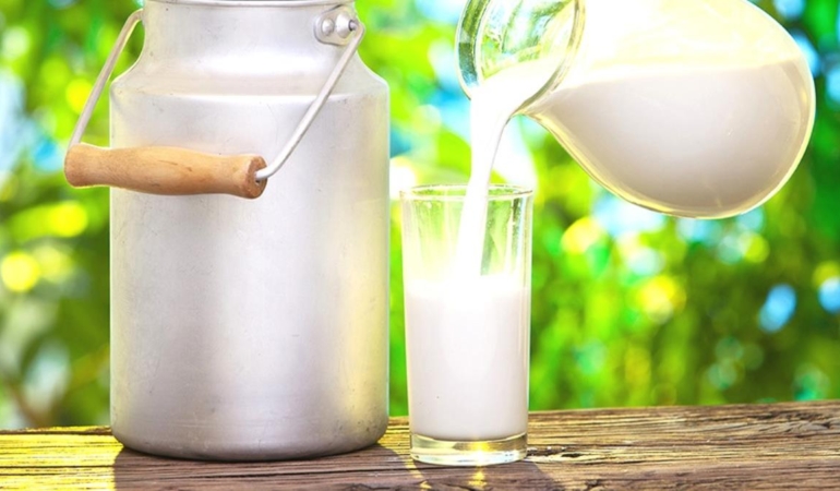 SÜT ÜRETİMİ AZALDI